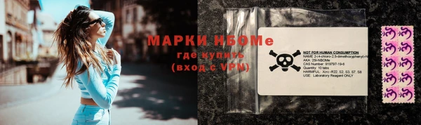 бошки Алексин