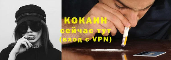 бошки Алексин