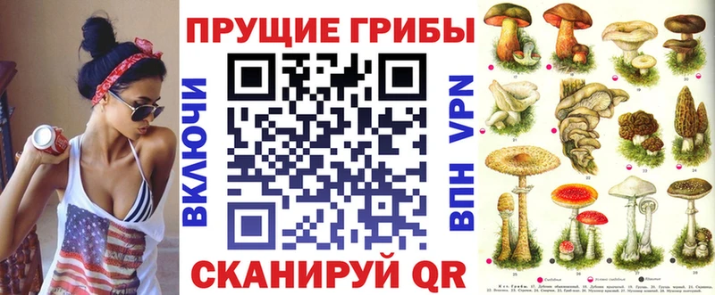 kraken сайт  сколько стоит  Сельцо  Галлюциногенные грибы Psilocybine cubensis 